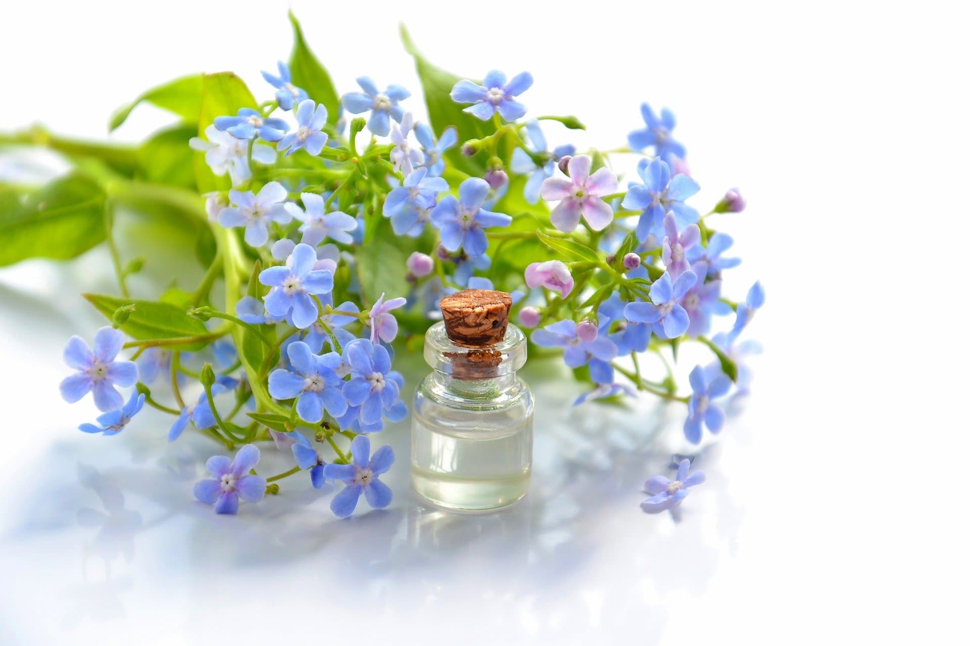 Carrier Oils – Bansal Aroma