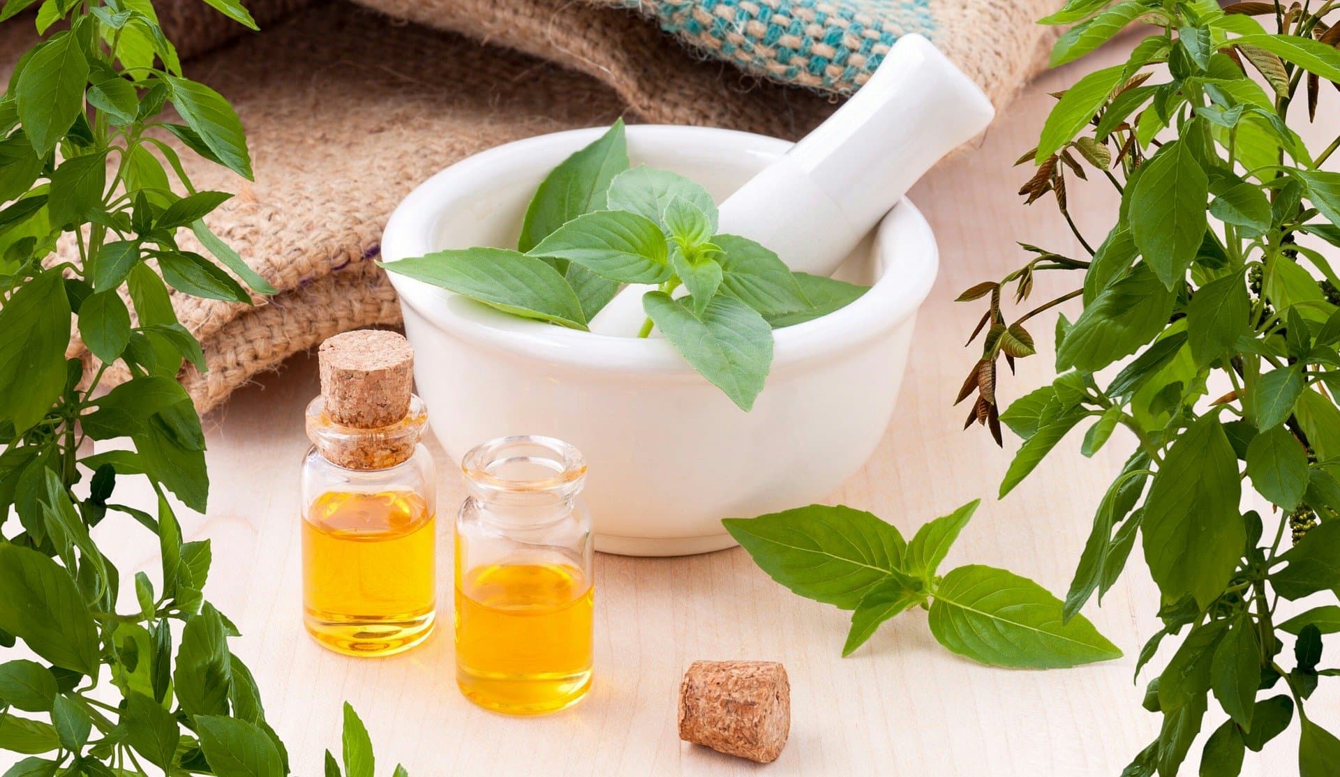 Essential Oils – Bansal Aroma