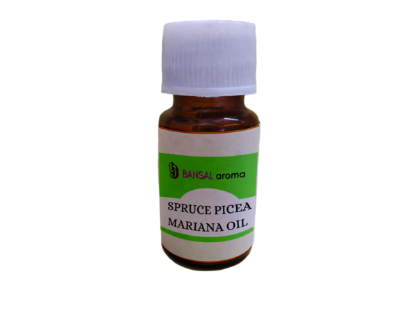 Spruce Picea Mariana Oil